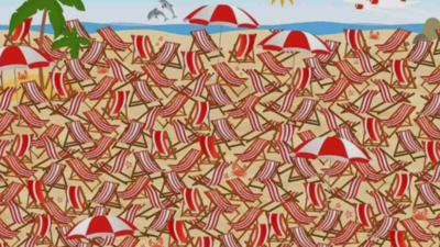 Optical illusion test: Only people with “4k visual power” can spot the skis in 5 seconds! |