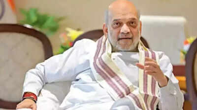 Amit Shah chairs Yamuna clean-up meet; asks Delhi, states to act on pollution; calls for STP upgrade, water use reform | India News