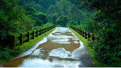 Protect yourself from monsoon health risks and humidity with these natural ways |