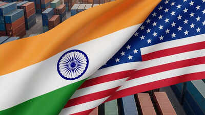 India-US talks: Experts urge caution on trade pact; ‘hasty deal under pressure’ could backfire