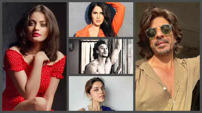 Bollywood Lookalikes Who Went Viral: Alina Rai, Ibrahim Qadri, Celesti Bairagey, Meet the Internet’s Favourite Celebrity Doppelgängers |