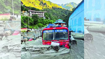 Himachal Pradesh: Orphaned in flash flood, 11-month-old gets world as cradle | India News
