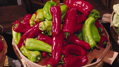 Are spicy foods good for your health? Science-backed benefits of chilli peppers and capsaicin |