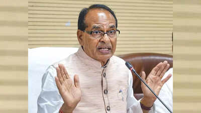 Government to crack down on unapproved biostimulants’ sale | India News