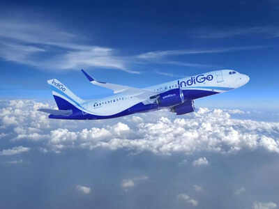 IndiGo Delhi-Patna flight aborts landing: Go-around executed after unstable approach; passengers safe | India News