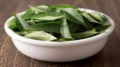 Curry Leaves: 10 powerful health benefits, medicinal uses and how to consume them |