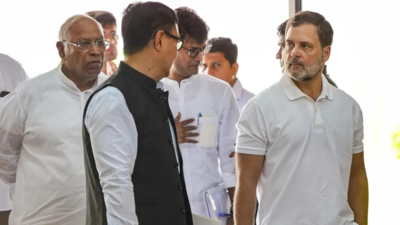 ‘No anti-national statements’: Kiren Rijiju’s advice to Rahul Gandhi over his foreign policy remarks; reiterates ‘Pakistani language’ attack | India News