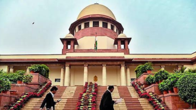 Supreme Court reverses custody order after child has a mental breakdown | India News