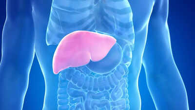 5 signs of a sluggish liver that should not be ignored |