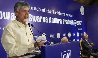Andhra’s economic revamp: Naidu rolls out roadmap to cross  trillion mark; eyes Rs 30 lakh crore investment in 5 years