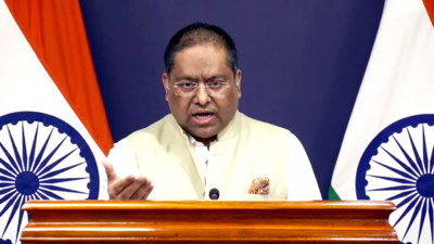 ‘De-dollarisation not on agenda’: India rebuffs Brics currency conspiracy claims; exploring cross-border rupee use