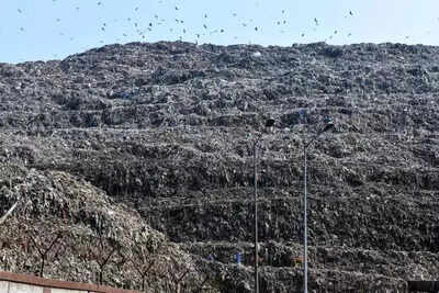 Centre to roll out special programme for remediation of 44% of legacy waste within a year | India News