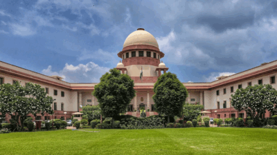Brutality not sole criterion for extreme penalty: Supreme Court | India News