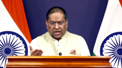 ‘India doesn’t subscribe to unilateral sanctions’: MEA on EU’s move against Russia; calls out ‘double standards’ on energy trade | India News