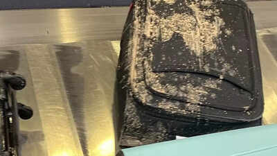 Luggage covered in poop? Virgin Atlantic says it did not come from plane, it’s not human excrement