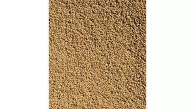 Codex recognition: India’s millet standards praised at Rome meet; fresh date, turmeric norms also advanced