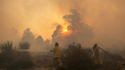 Canada wildfires burn area the size of Croatia