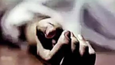 Woman dies as VDG member fires accidentally in Kishtwar | India News