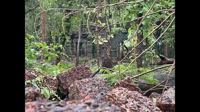 Charming church facade at Chimbel dating to 18th century seeks attention | Goa News