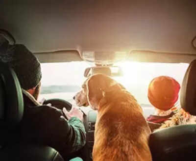 With juvenile on board, pay 2x fine for breaking traffic rules | India News