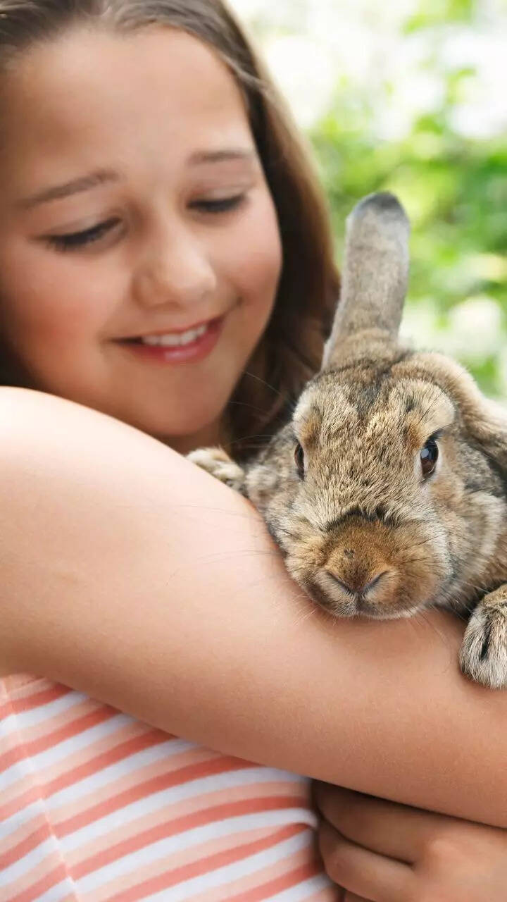 8 pet animals that bring good luck to your home