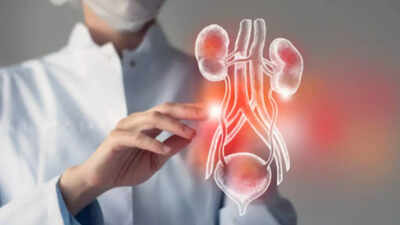 3 foods that can improve kidney function |