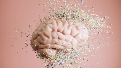 Brain Health Tips: 3 effective science-backed ways to keep the brain healthy |