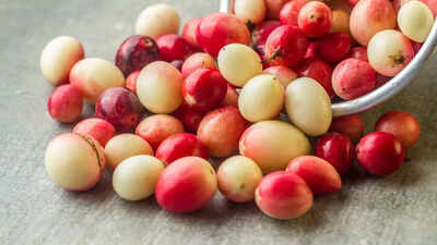 How to grow Karonda during monsoon: 6 Easy home gardening steps for Indian cranberry |