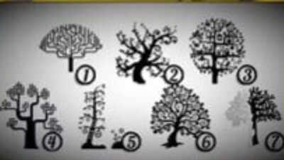 Personality Test: Loyal or disloyal? THIS psychology-based personality test reveals the hidden betrayal tendencies in you or your partner |