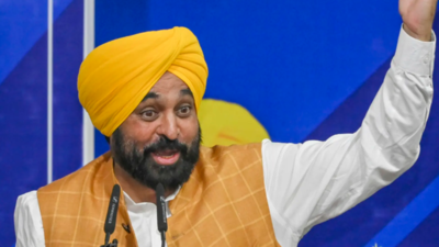 Punjab govt to develop 4,000 sports grounds to fight drug menace, promote youth sports: CM Mann | India News