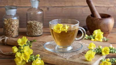 10 benefits of mullein tea: A natural remedy for cough, cold, and asthma |