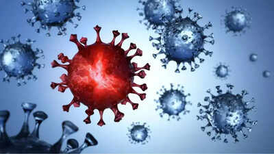 Shocking discovery: Common stomach bacteria may be linked to 12 million cancer cases |