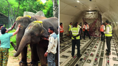 This is what a jumbo jet really is | India News