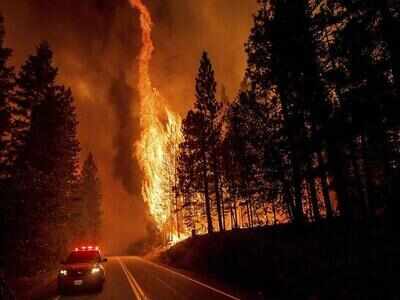 0 million missing? Trump calls FireAid ‘another Democrat inspired scam’; California wildfire charity funds never reach direct victims