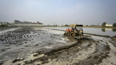 Opposition to Punjab’s land-pooling policy brings together farmers | India News