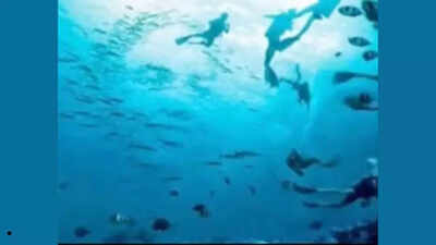 Optical illusion personality test: Fish and diver or faces? What you see first reveals if you are easily fooled by others