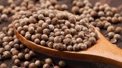 6 easy tips to grow coriander at home this monsoon: Grow thriving dhaniya plants |