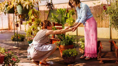 How to properly water and care for your plants before leaving for a vacation |