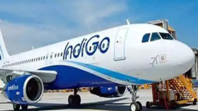 Tense Q1 sees IndiGo profit drop 20% to Rs 2,176 crore