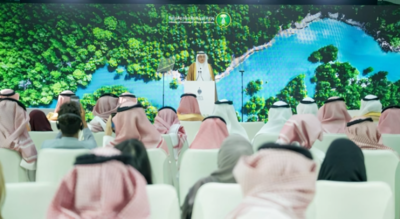 Saudi Arabia to build 1,000 rainwater harvesting dams with 4 million m³ annual capacity | World News