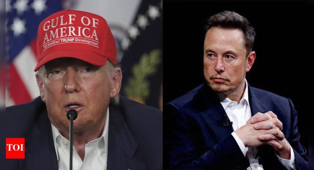 ‘America Party’ launched: Musk hints at election plans; Can he run for president in 2028? | World News