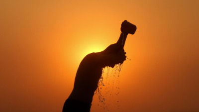 World’s major courts take growing role in climate fight