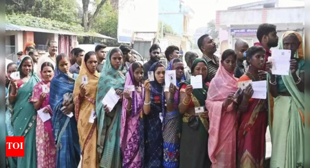 ‘Imposed forcefully’: JDU MP slams SIR in Bihar; protests outside Parliament continue | India News