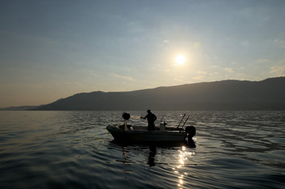 ‘Significant declines’ in some species after deep-sea mining: research