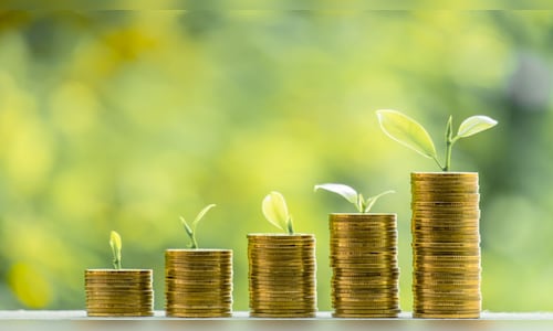 IREDA shares in focus on getting government nod to raise funds via capital gains bonds