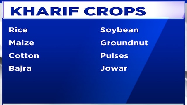 Early monsoon triggers timely, not higher, kharif sowing: WASEDA CEO