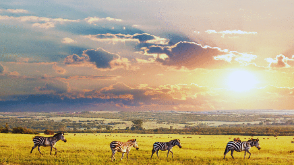 Countries from PM Modi’s 5-nation tour worth adding to your travel bucket list