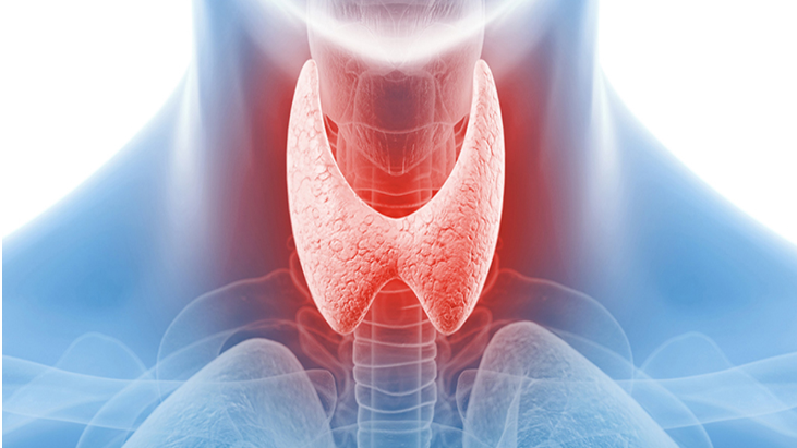 5 parts of the body where one can have Thyroid pain