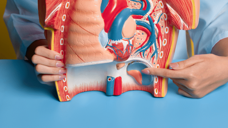 5 simple ways to know your kidneys are in excellent health