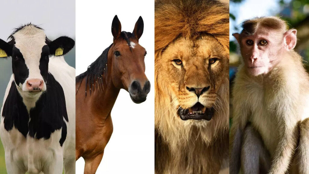 Cow, horse, lion, or monkey? The animal you choose reveals THIS about you
